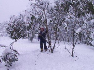 mt skene 11.JPG