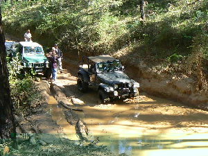 zook club trip 5 007.jpg