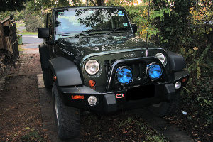 Medium_MG_3519.jpg